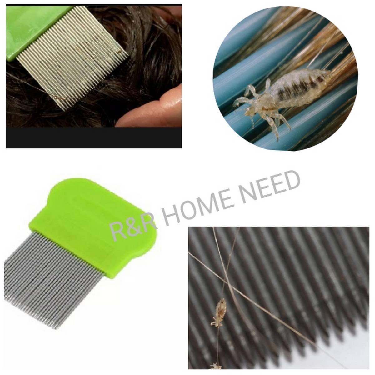 Head Louse Comb