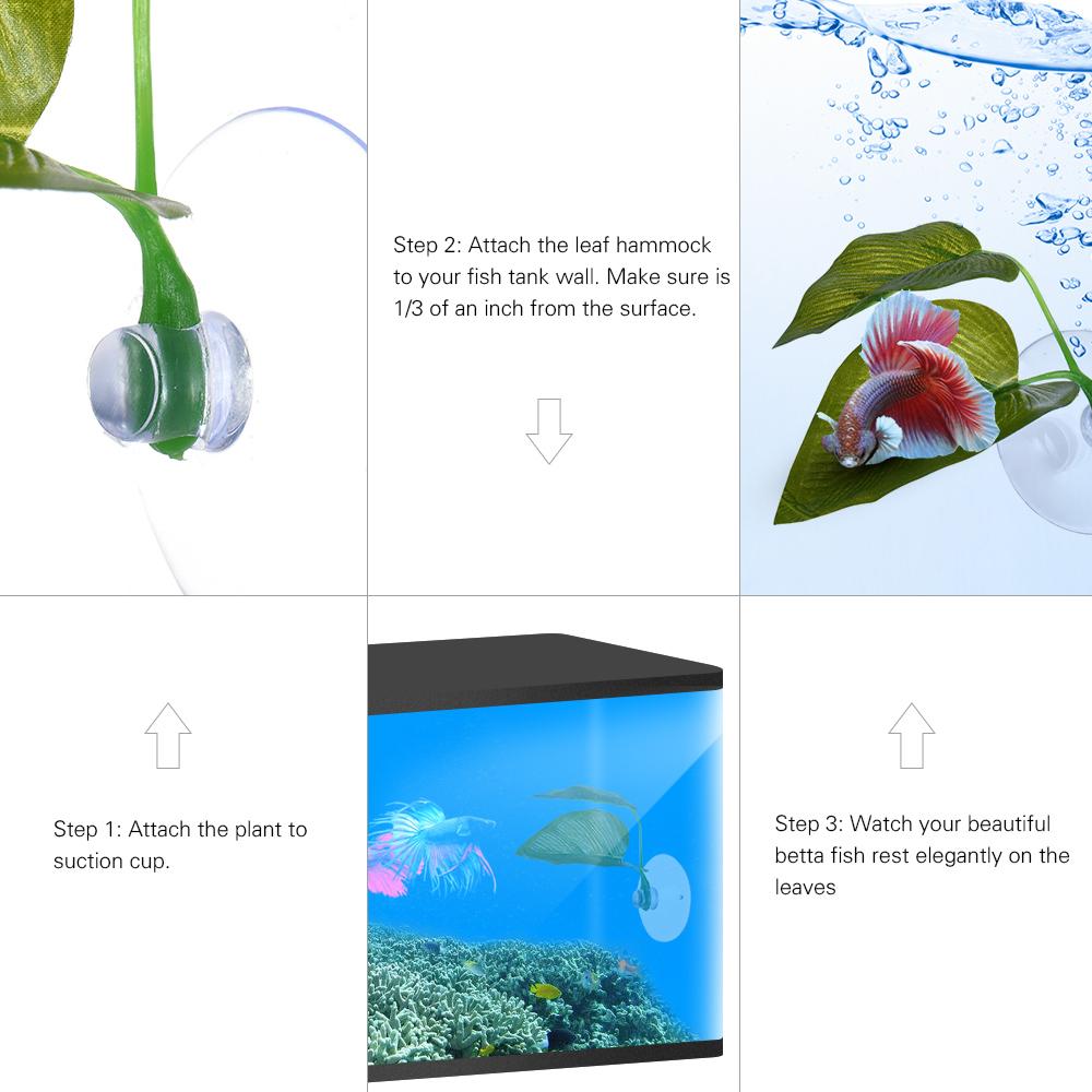 saltwater fish tank supplies