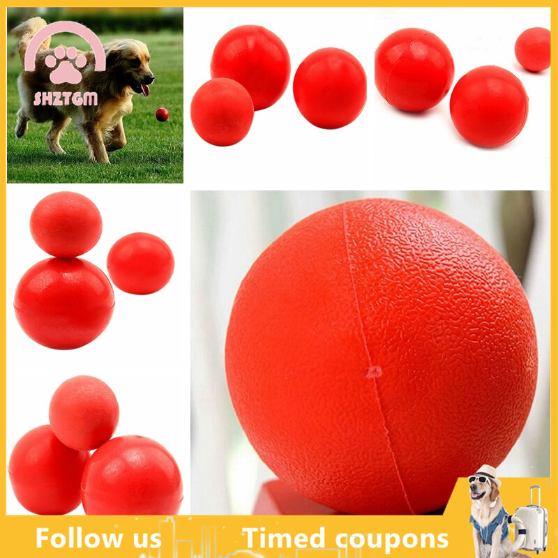 Indestructible Solid Rubber Ball Pet cat Dog Training Chew Play Fetch Bite Toy