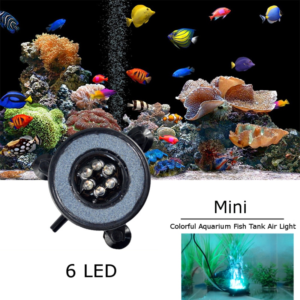 bubble curtain aquarium