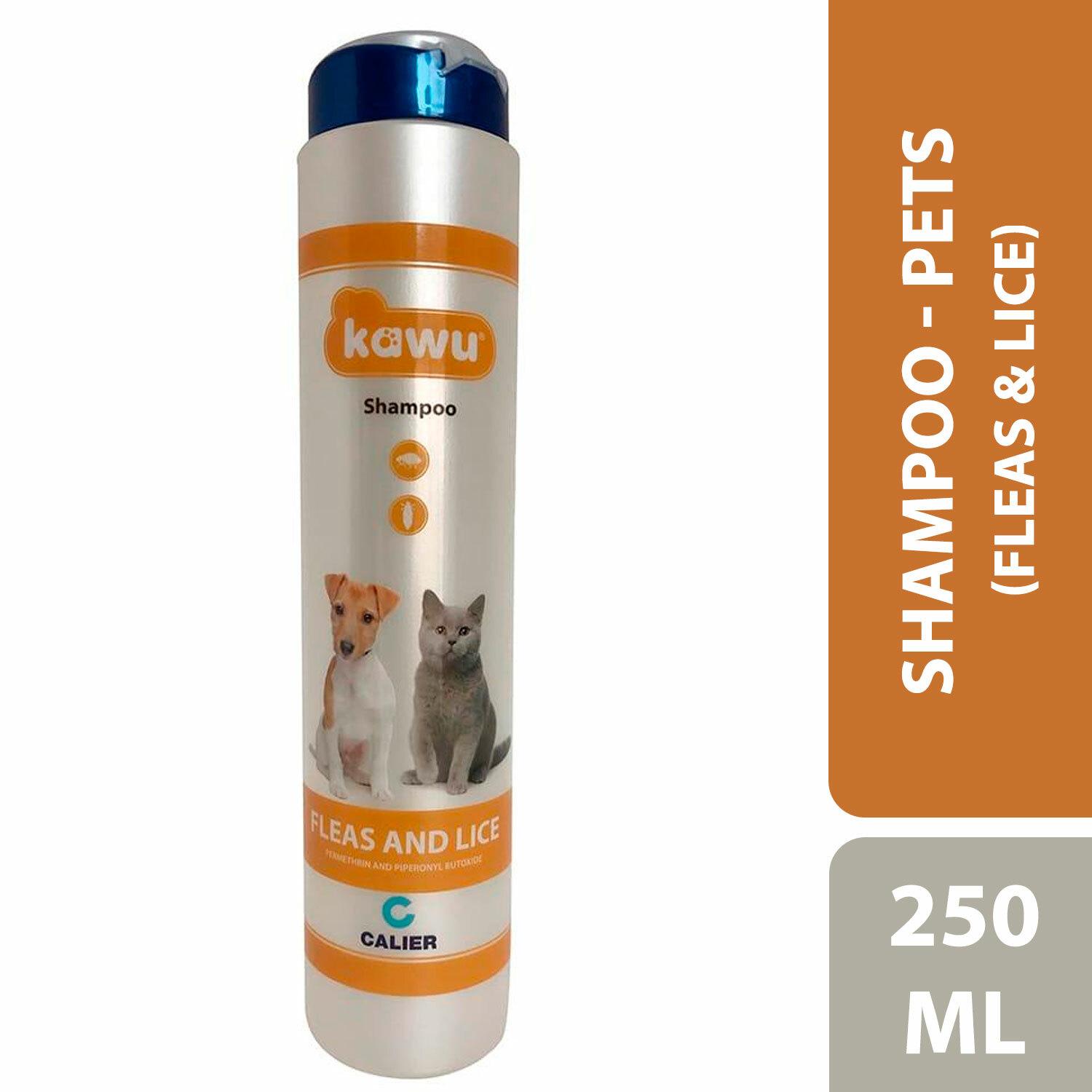 lice shampoo for fleas