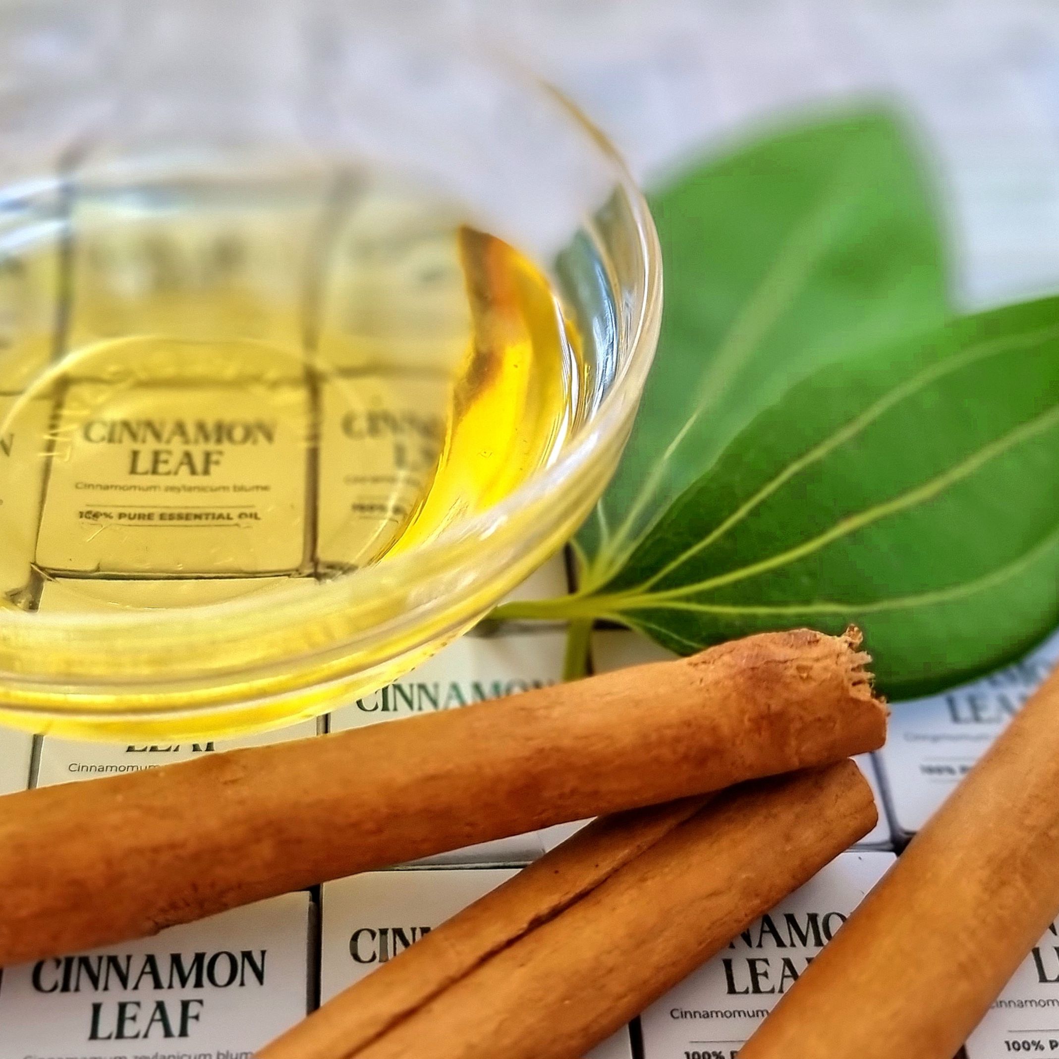 100% Pure Ceylon Cinnamon Leaf Essential Oil for Aromatherapy and Home Fragrance - 10ml / 30ml Euro dropper. 