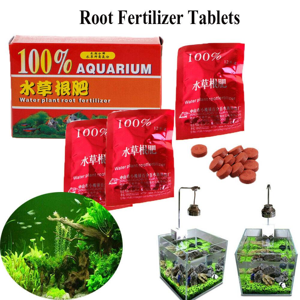 Aquarium Plants For Sale In Sri Lanka Aquarium Views