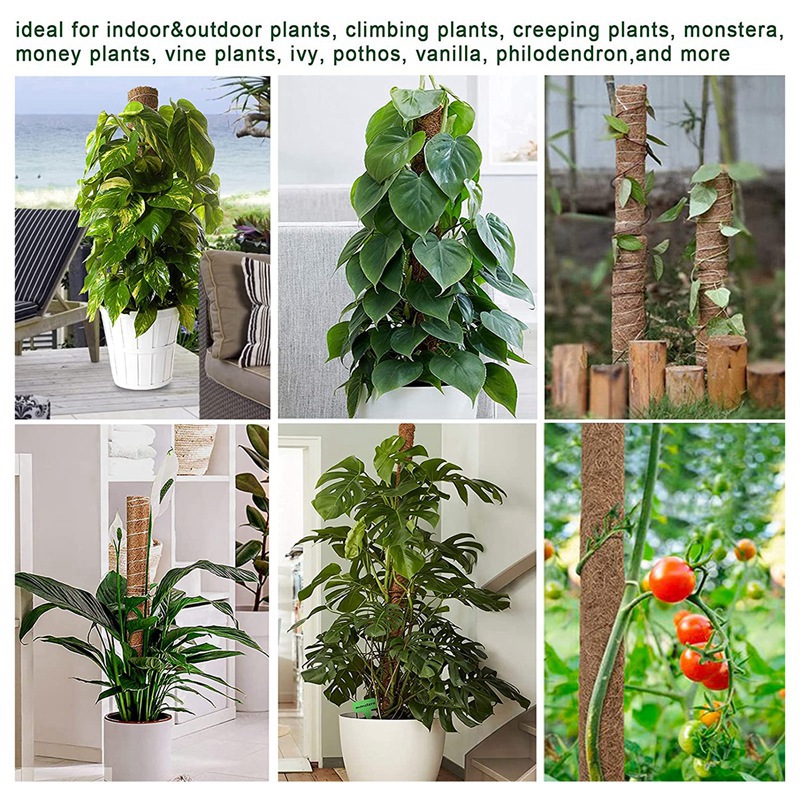 Coir Totem Moss Pole, Plant Support Totem Moss Sticks, Coconut Palm