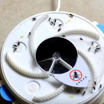 houseflies trap