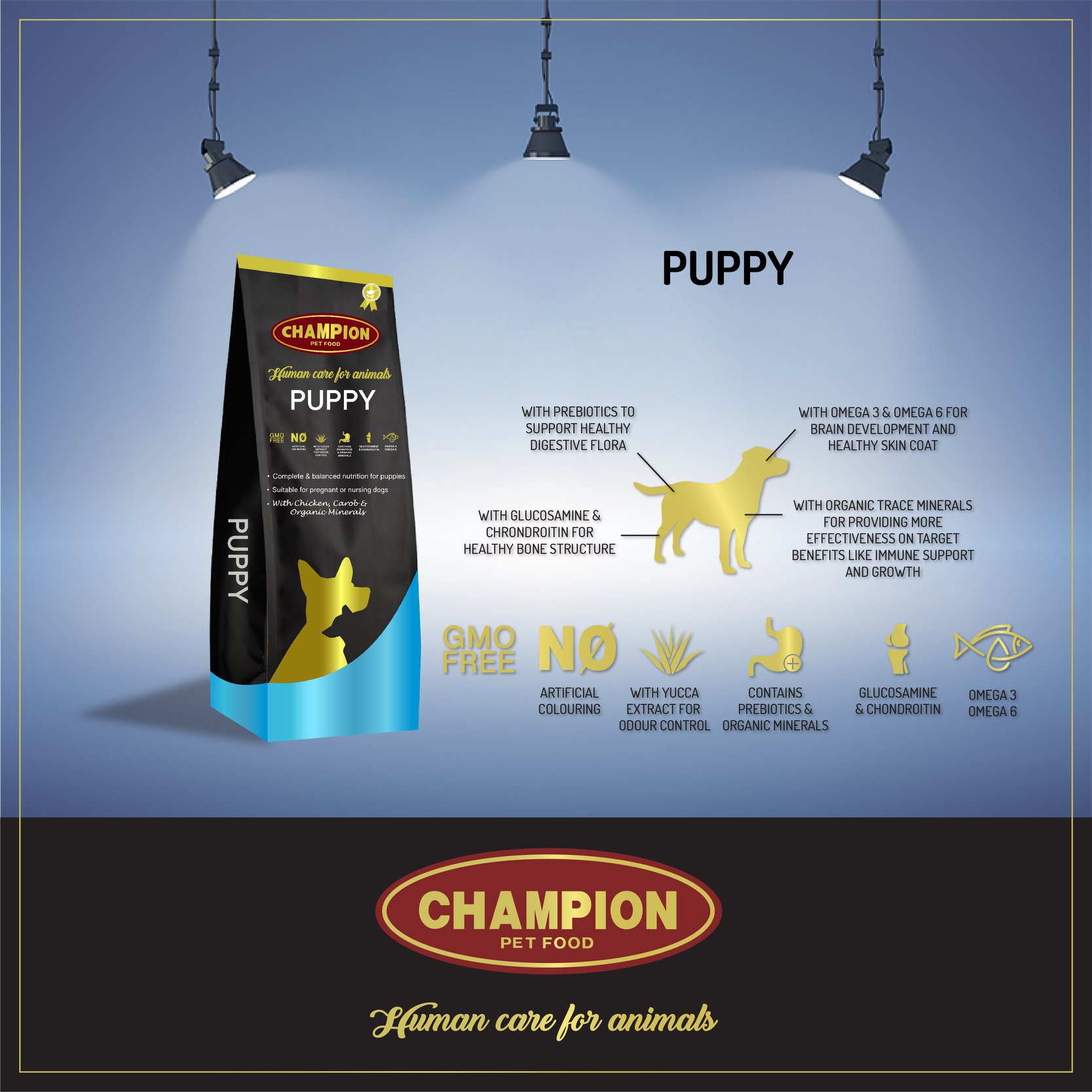 Champion dogs puppies sale