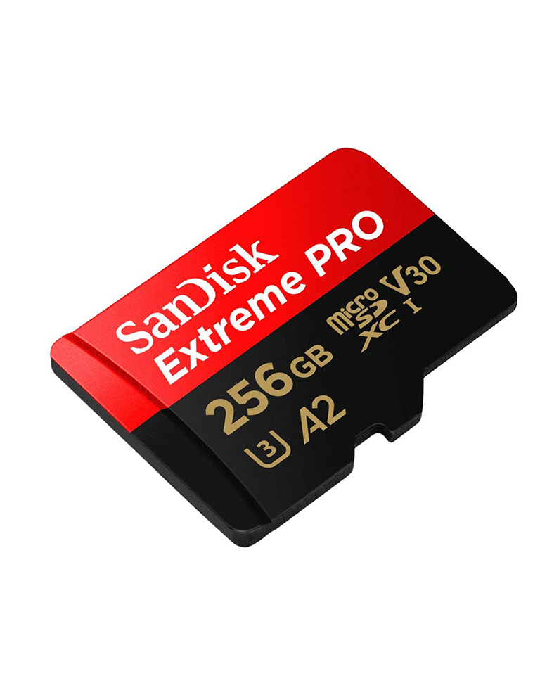 SanDisk Extreme pro micoSD 256GB Card (200Mb/s). 