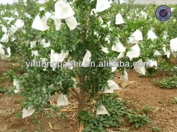 Customize Fruit Protection Guava Bag. 