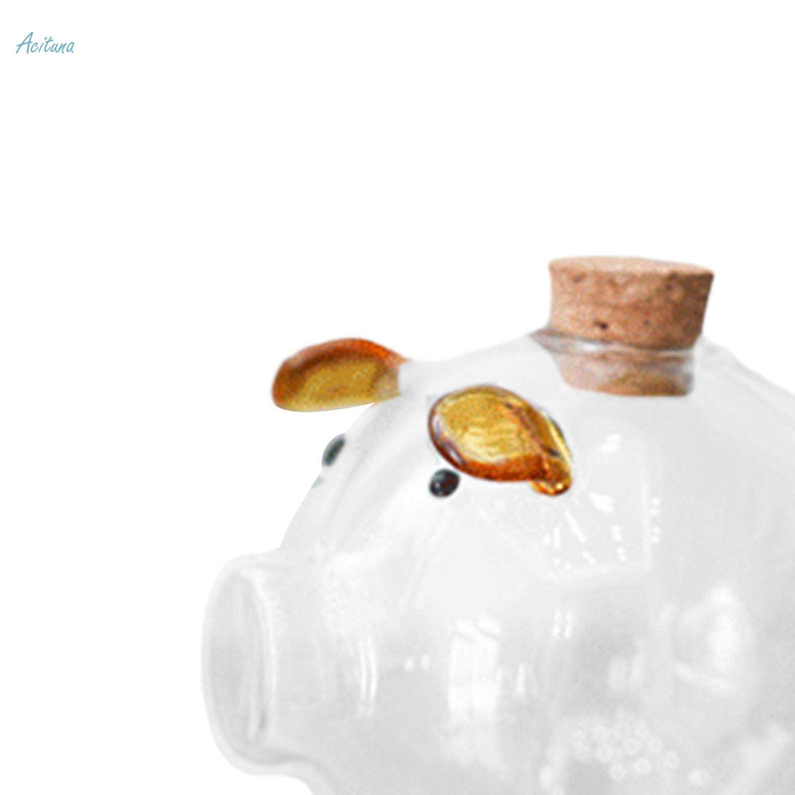 Transparent Piggy Bank Saving Box Home Ornament Banknote Case Storage Bottle for. 