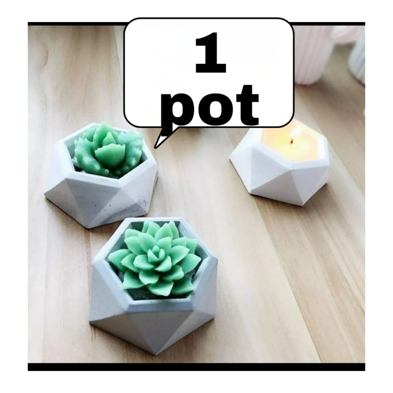 CACTUS MINI POTS cacti planters cactus plant pot flower pot indoor flower planter small flower pots