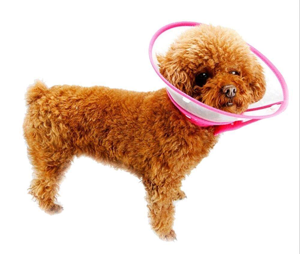 Dog Anti Bite Collar Lick Proof Wound-Recovery Soft Translucent Ruff Funnel Cover For Small Dog And Cat - L. 