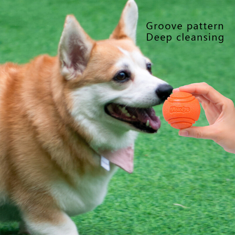 Pet Dog Bouncy Ball Bite-resistant Rubber Toy Dog Chew Toys Outdoor Throwing Training For Dogs. 