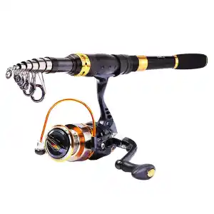 Shop Pole Fishing Accessories for Sale