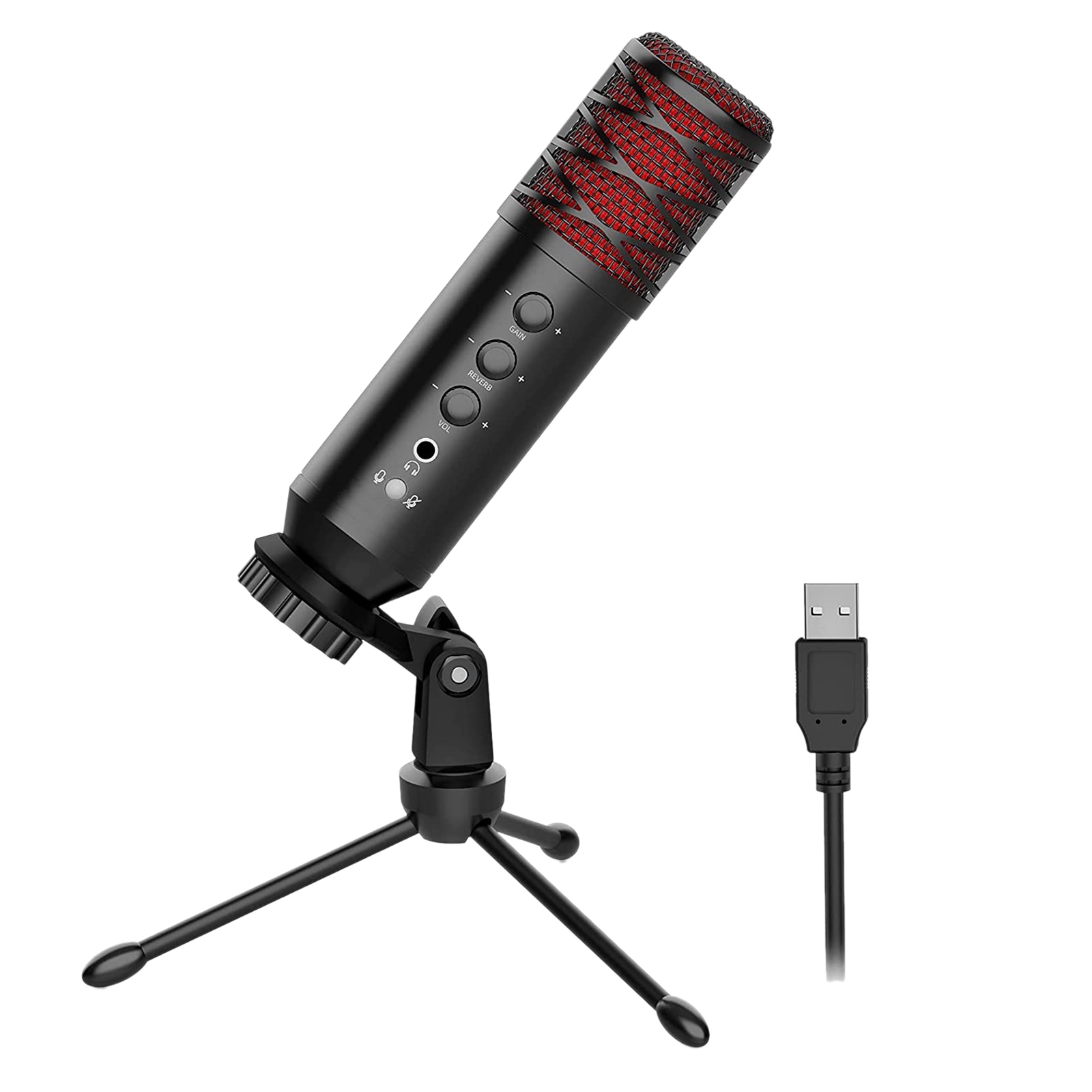 microphone with echo effect