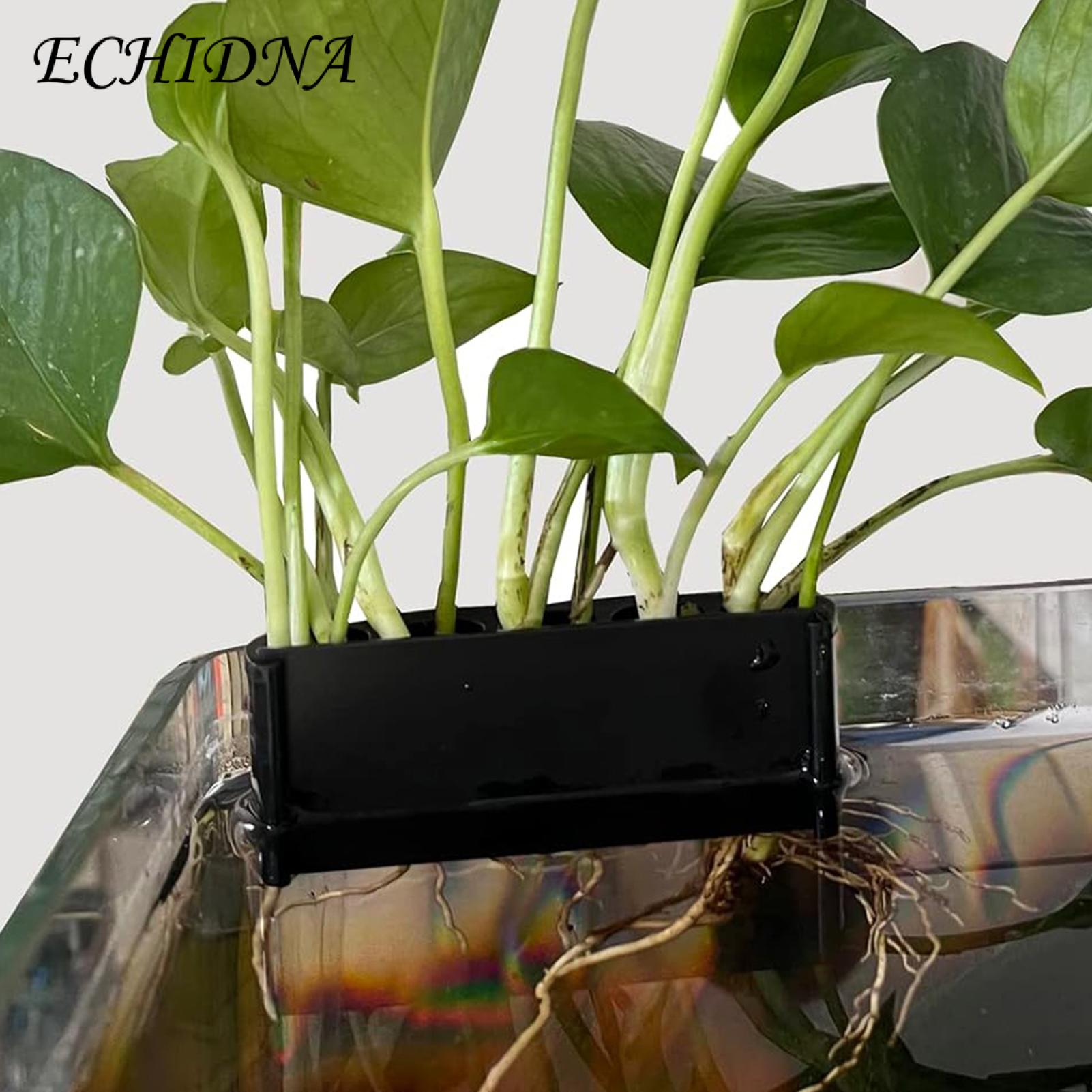 Hydroponic System for Aquarium Plants 5-hole Hydroponic Storage Rack for Aquaponic Cultivation Ideal Fish Tank Plant Supports Aquascape Decorations Hydroponic Storage Rack for Fish Tank. 
