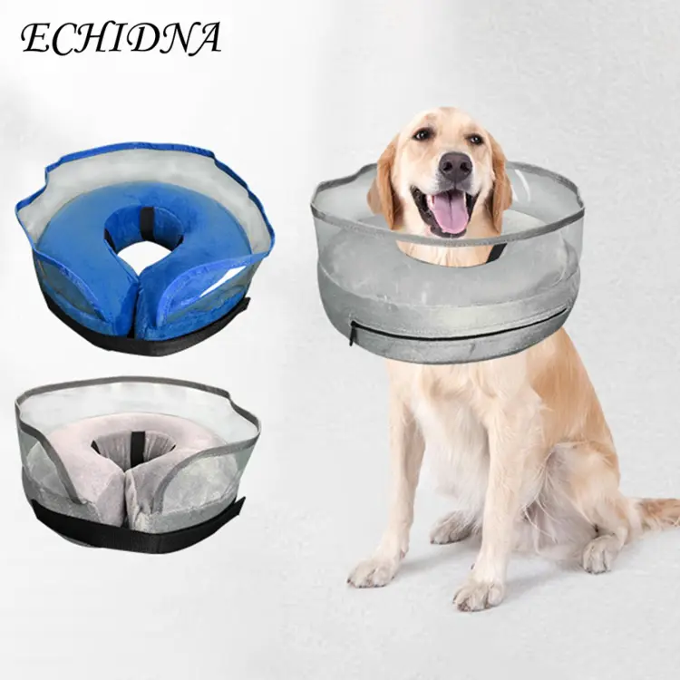 Dog neck outlet protection collar