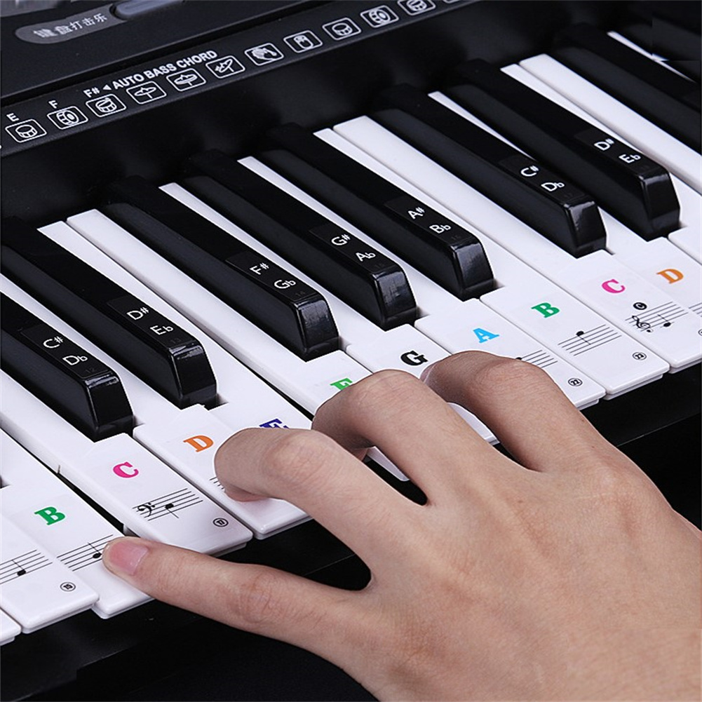 Kokko Ransparent Detachable Music Decal Notes Piano Keyboard Stickers Ful Piano Notes Sticker Buy Online At Best Prices In Srilanka Daraz Lk