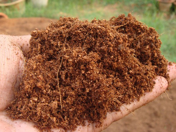 coco peat 5kg bag