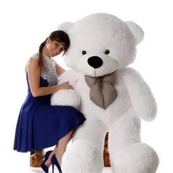 teddy bear in white colour