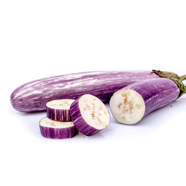 Brinjal Lena Iri Seeds Prima Gardening Agriculcure Home. 