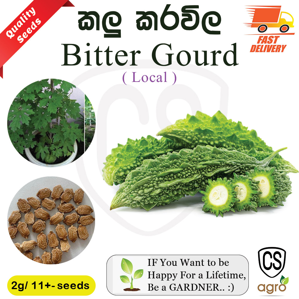 Karawila Bitter Gourd Seeds Gardening Agriculture Home CS Agro kalu karawila seed