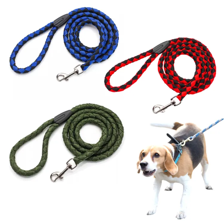 Dog on a clearance rope