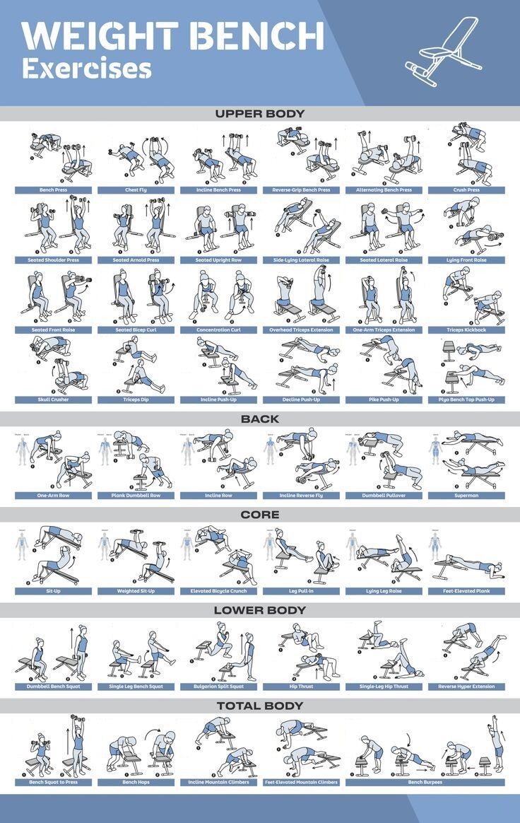 Weight Bench Exercise Posters for Home Gym Exercise Posters for Full Body Workout Core Abs Legs Glutes Upper Body Training Program. 