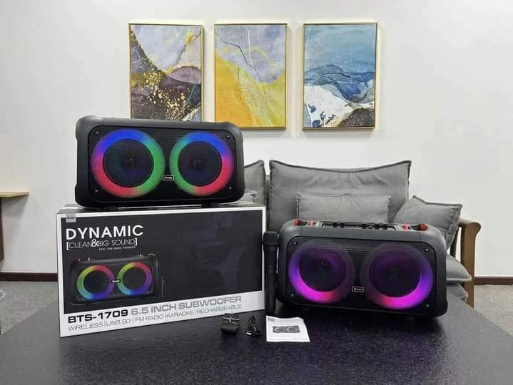 BTS - 1709 DYNAMIC Clean & Big Sound Party Box  Outdoor With Wireless Mic. 