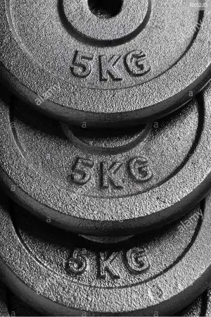 Gym plates 5kg discount price