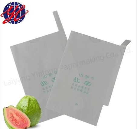 Customize Fruit Protection Guava Bag. 