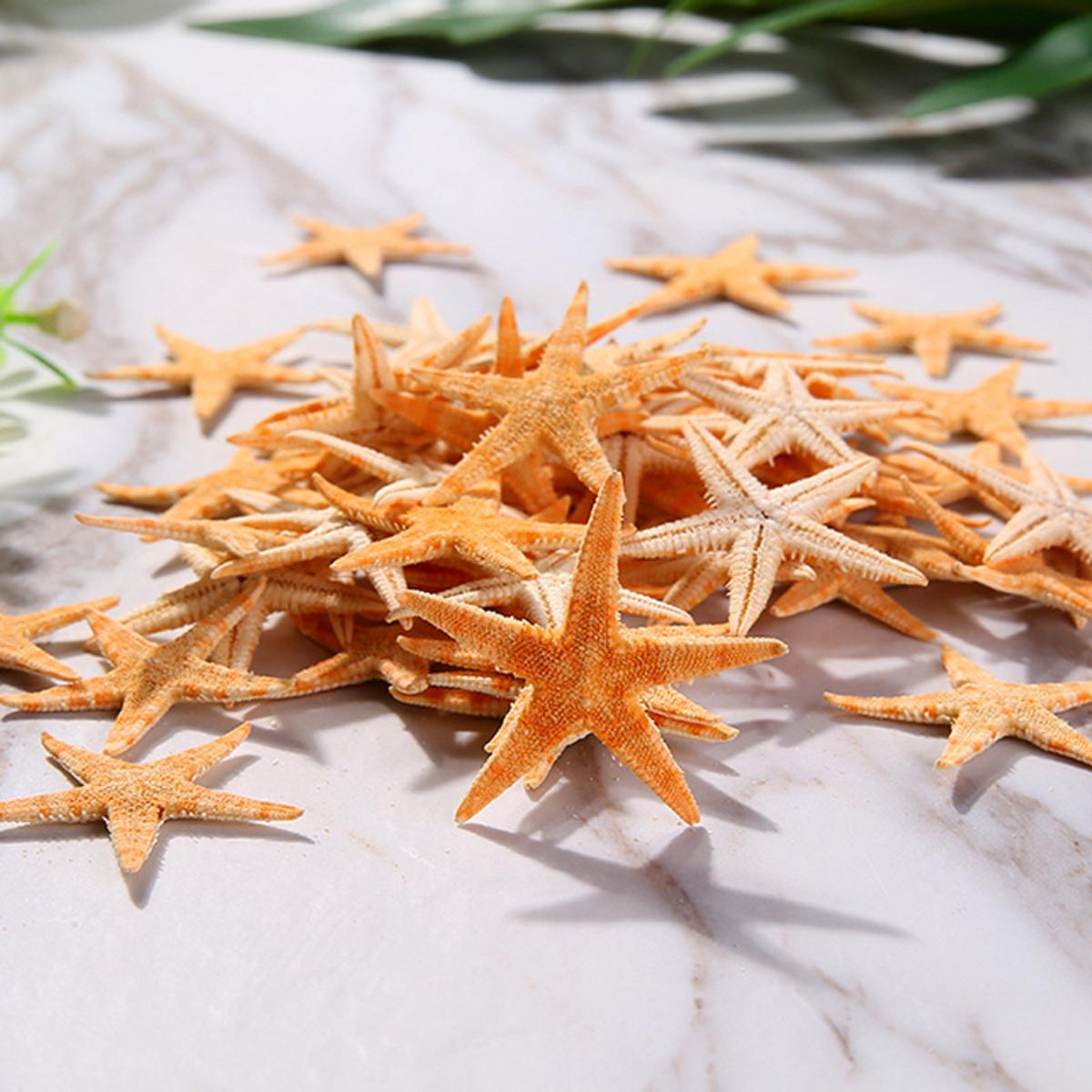 Sea Shells 2-3cm 50Pcs/Bag Mini Starfish Craft Decoration Natural Sea Stars DIY