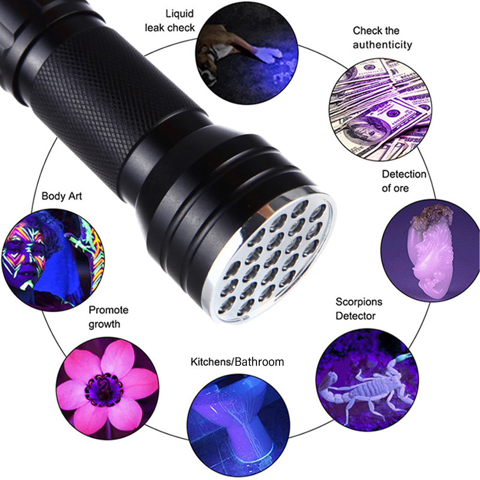 Best Black Light To Detect Scorpions