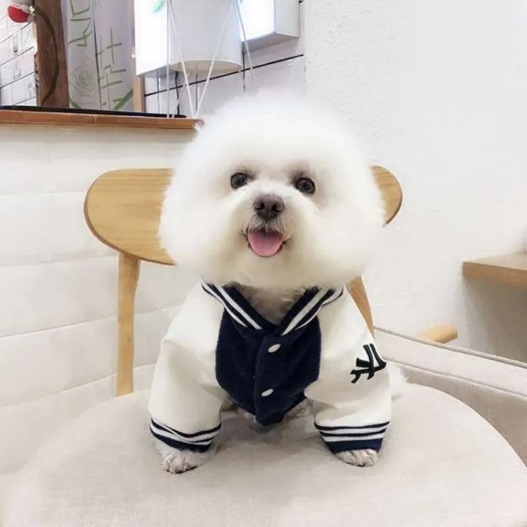 Bichon clothes outlet