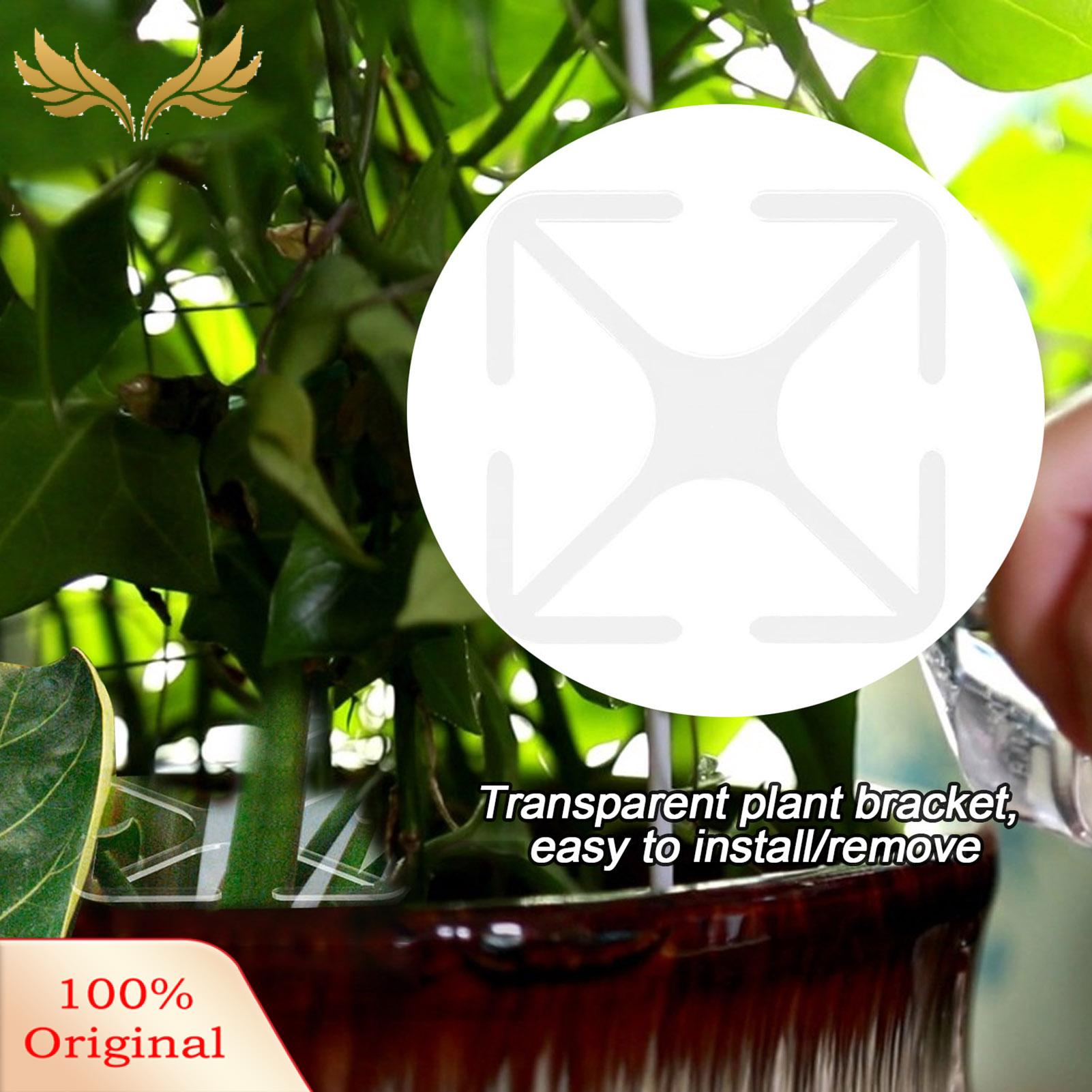 SuperRide 2 sizes: The climbing plant stem support is available in 2 sizes, including 15x15x0.3cm/5.91x5.91x0.12 inches and 10x10x0.3cm/3.94x3.94x0.12 inches. You can choose the appropriate size according to the actual situation of the plant.. 