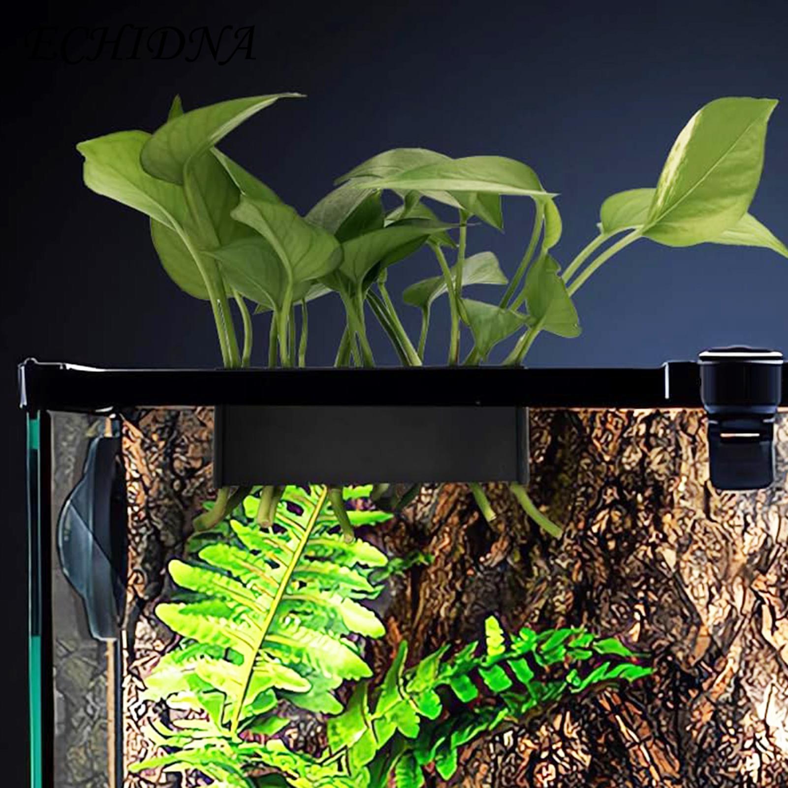 Hydroponic System for Aquarium Plants 5-hole Hydroponic Storage Rack for Aquaponic Cultivation Ideal Fish Tank Plant Supports Aquascape Decorations Hydroponic Storage Rack for Fish Tank. 