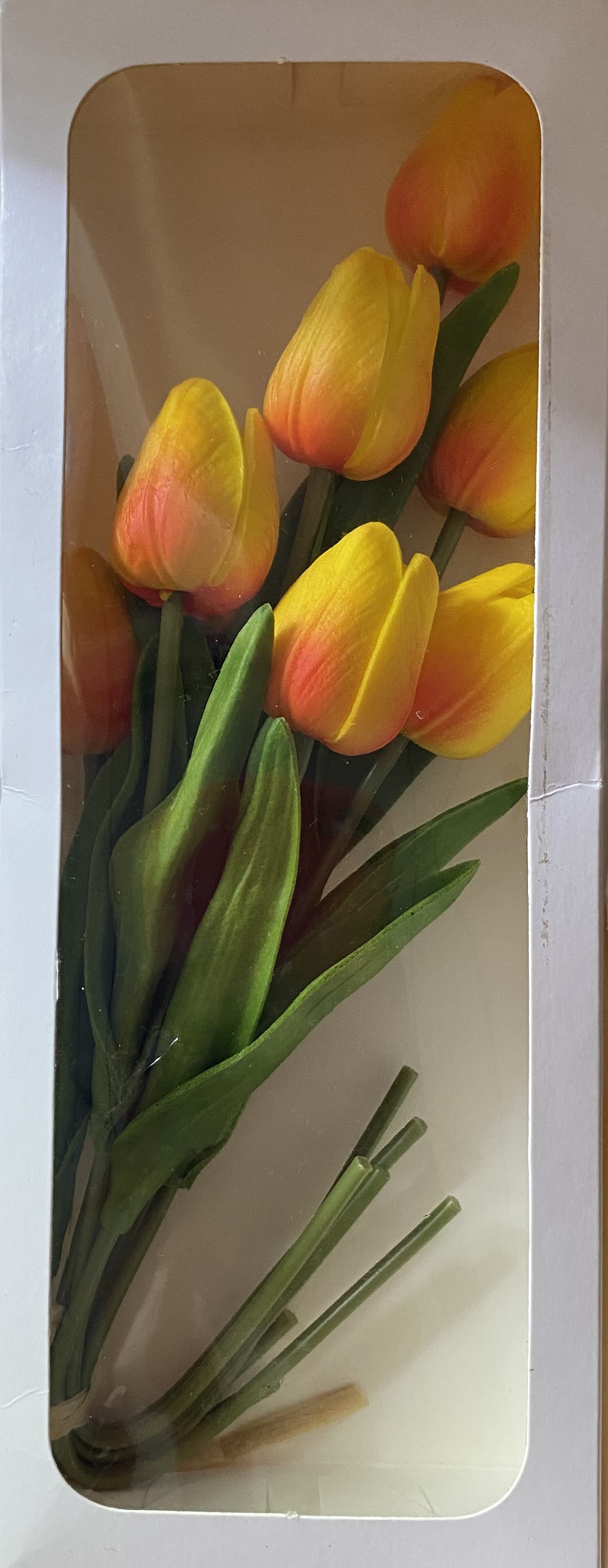 Tulip Flowers. 