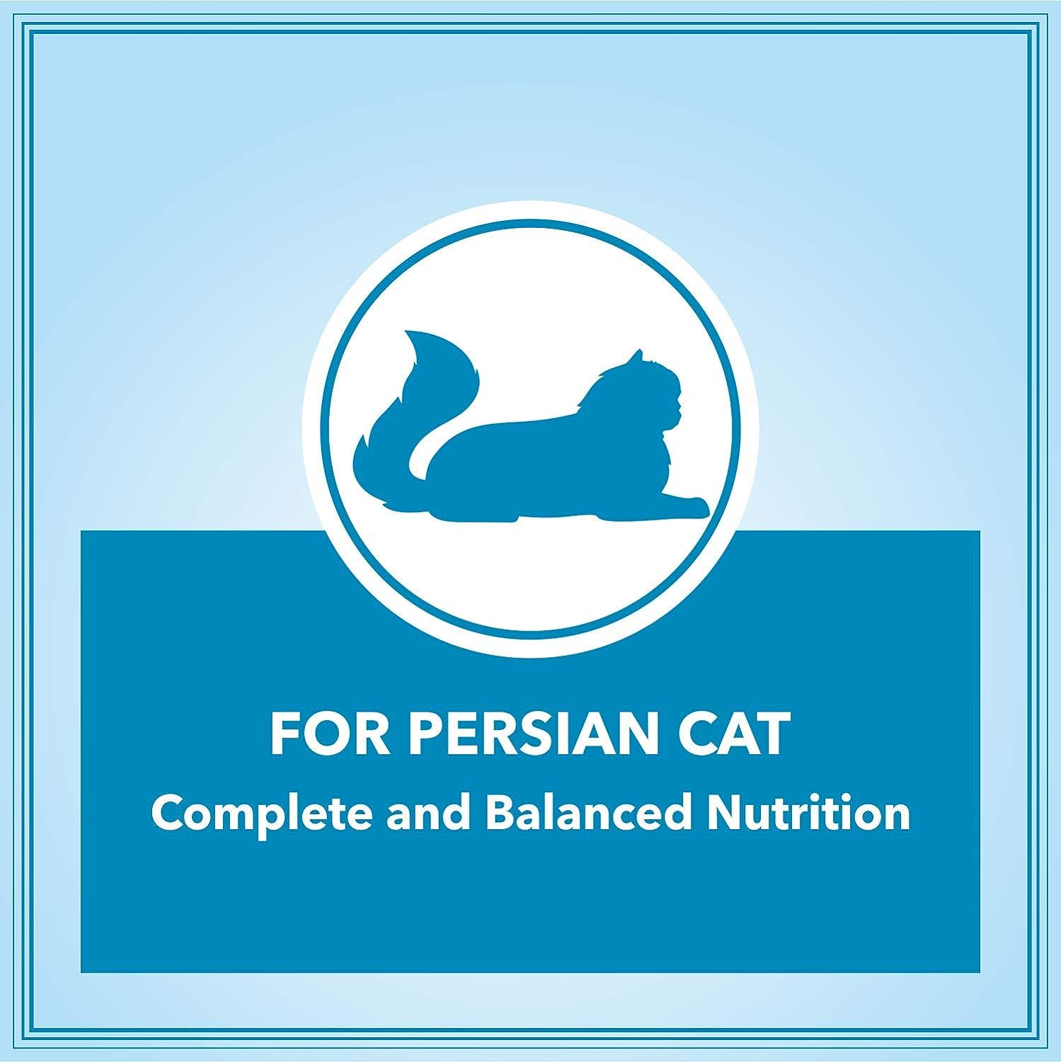 Let's Bite Active Persian (+1 Year) cat Food (500G X 4 Packs). 
