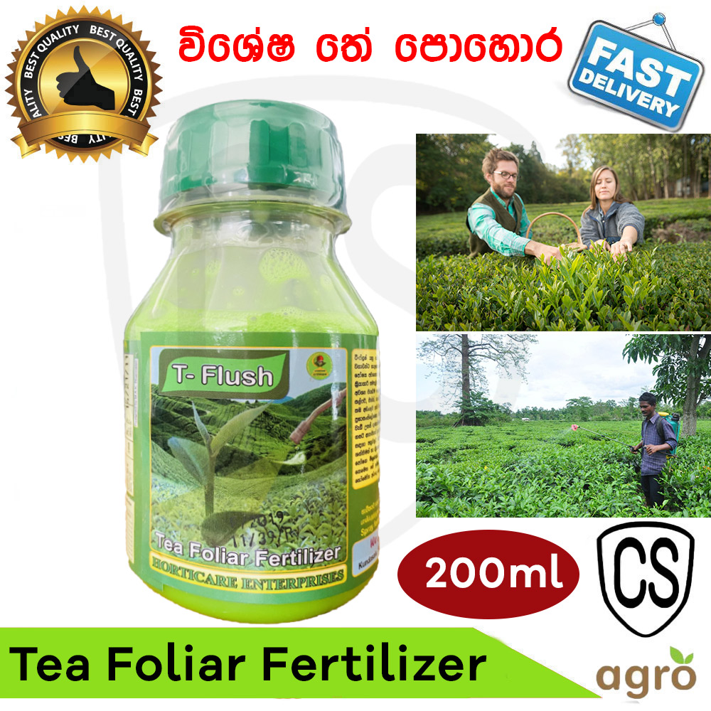 Update more than 129 planting tea bags super hot kidsdream.edu.vn