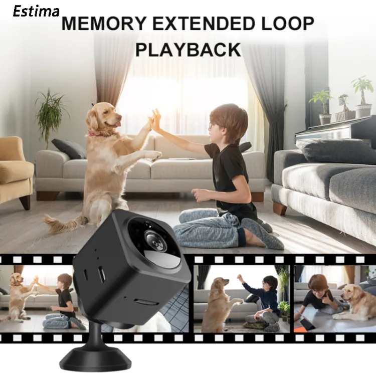 Outdoor best sale nanny camera