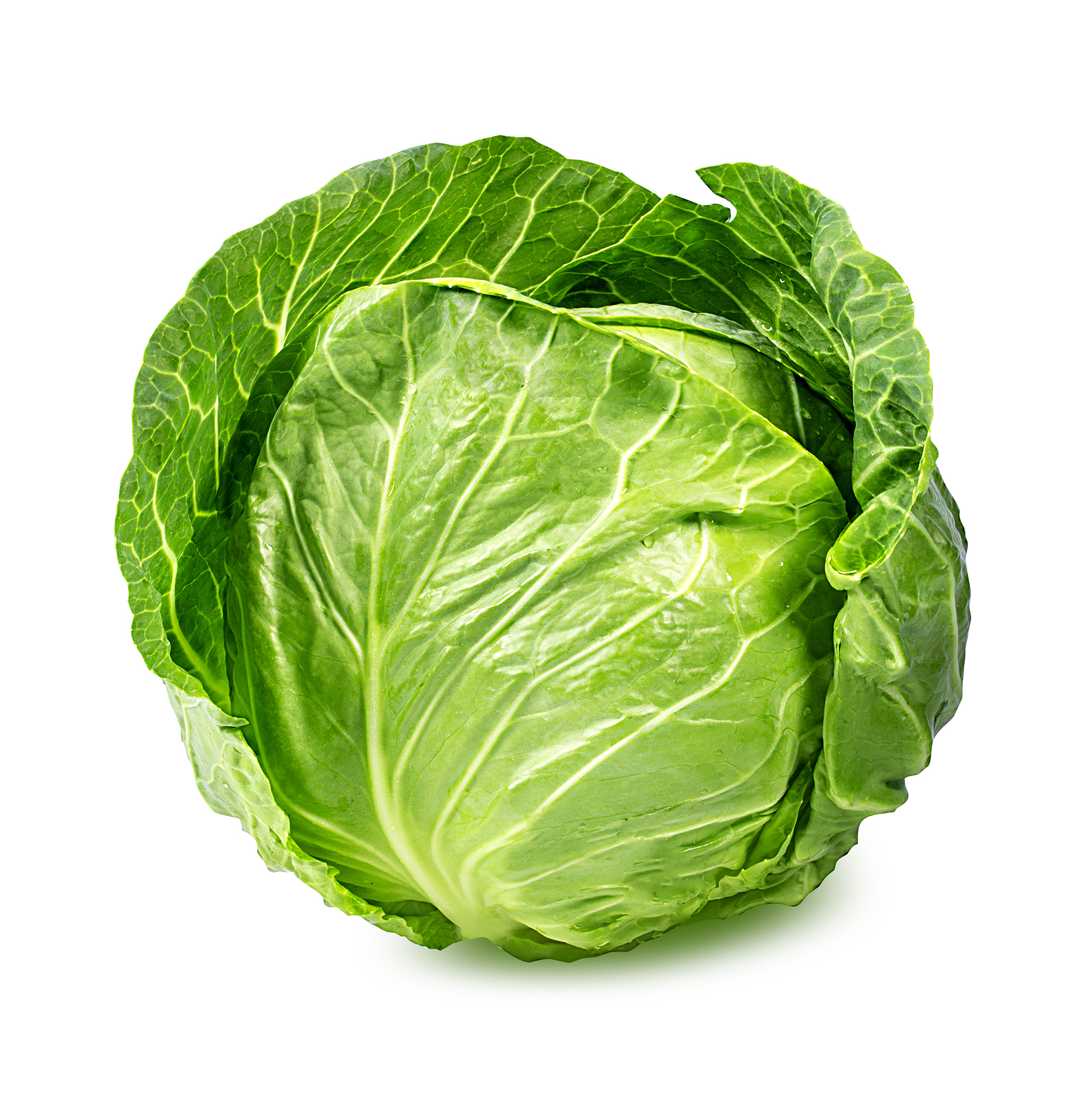 Beans, Cabbage, Leeks , nocall , Beet Root, Capsicum, Green Chilli Seeds 100% high quality seeds for home gardening...... 