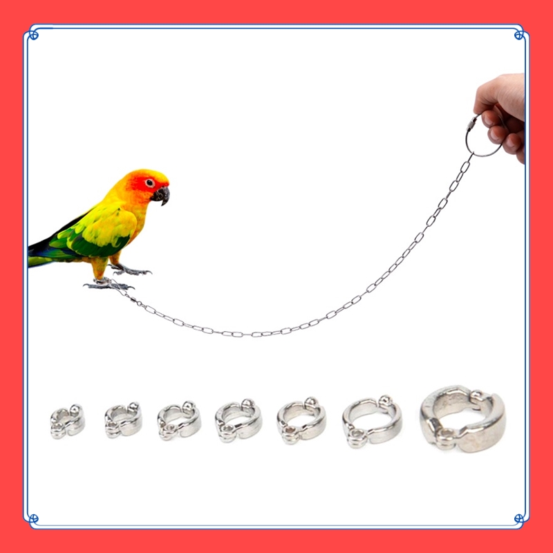VibeVendor Parrot Stainless Steel Foot Ring Chain Opening Activity Ring for Lovebird Cockatiel Parakeet Bird Stand Anklet Bird Leg Rings