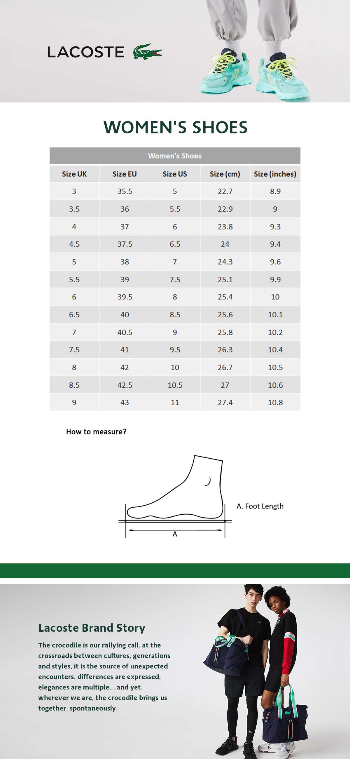 Lacoste shoe size chart sales