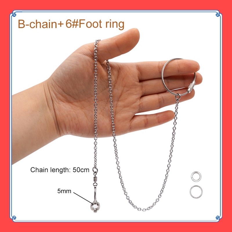 VibeVendor Parrot Stainless Steel Foot Ring Chain Opening Activity Ring for Lovebird Cockatiel Parakeet Bird Stand Anklet Bird Leg Rings. 