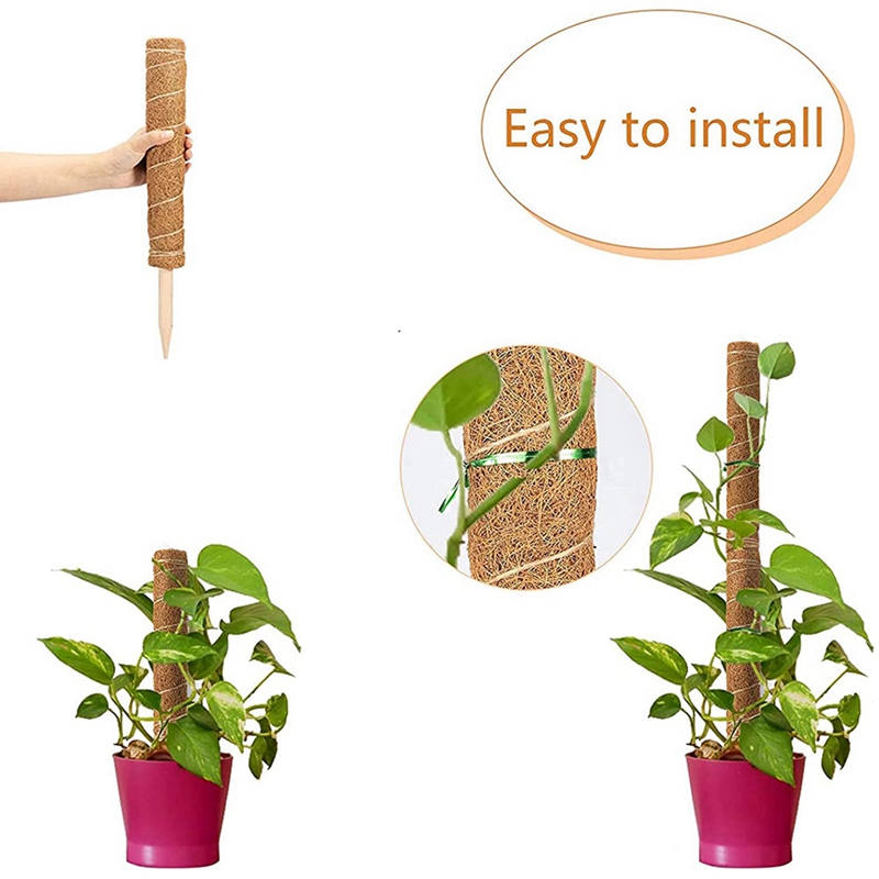 Coir Poles For Climbing Plants,6 Pack 15.7 Inch Coco Totem Plant F 海外限定