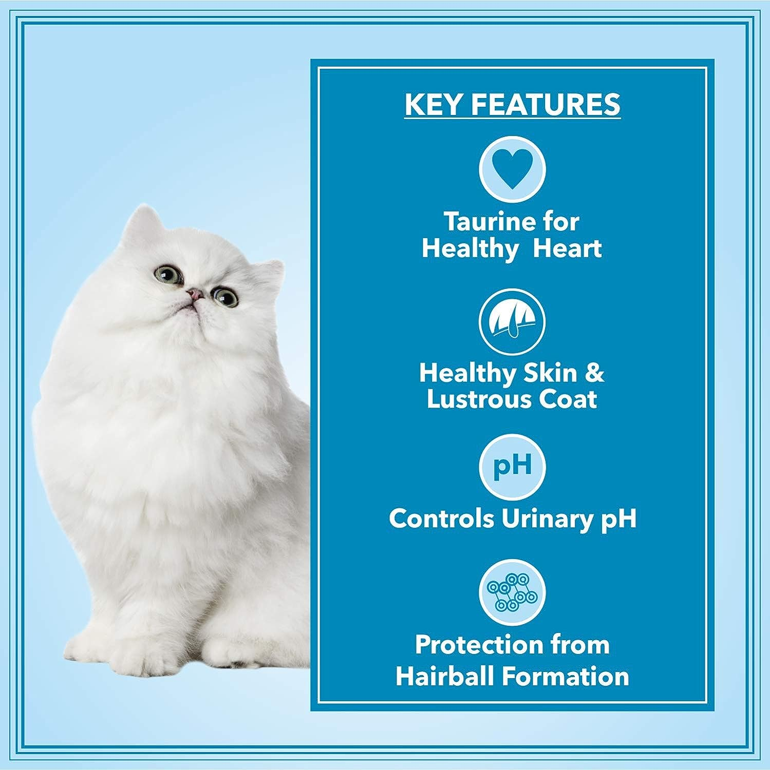 Let's Bite Active Persian (+1 Year) cat Food (500G X 4 Packs). 