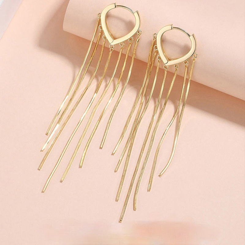 Long Metal Tassel Earrings Ins Style Simple Wild Personality Temperament Texture Girls Earrings. 