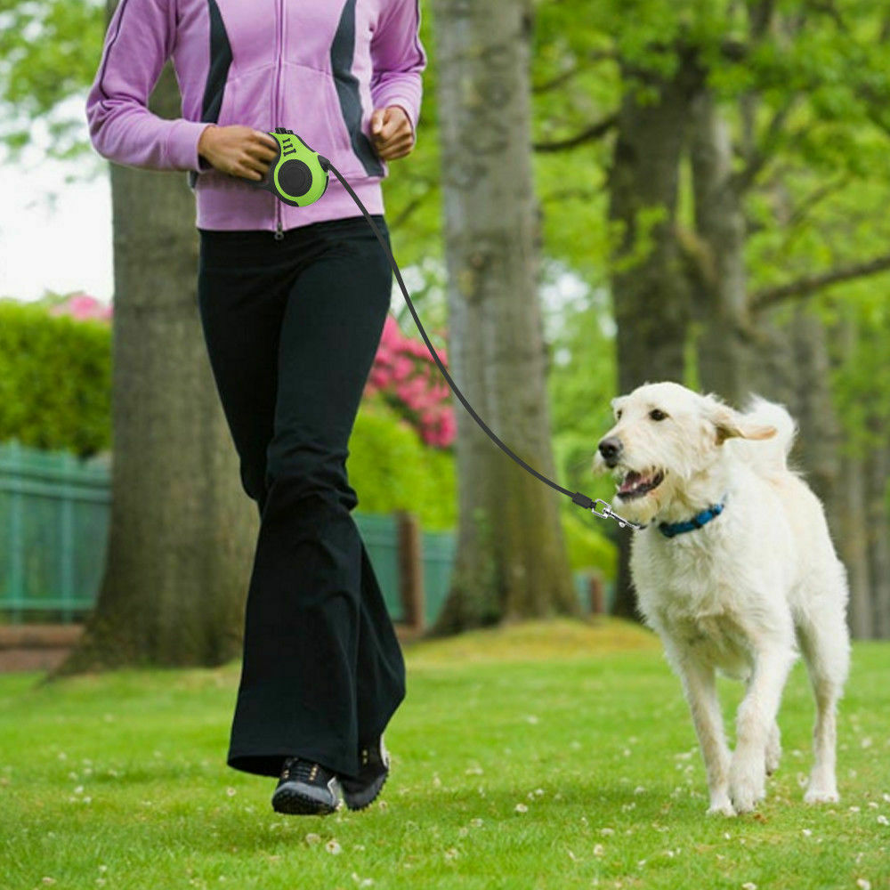 New Classic Retractable Dog Leash. 
