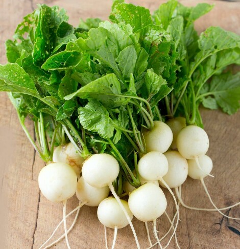 White Radish/Bola Raabu Seeds For Home Garden