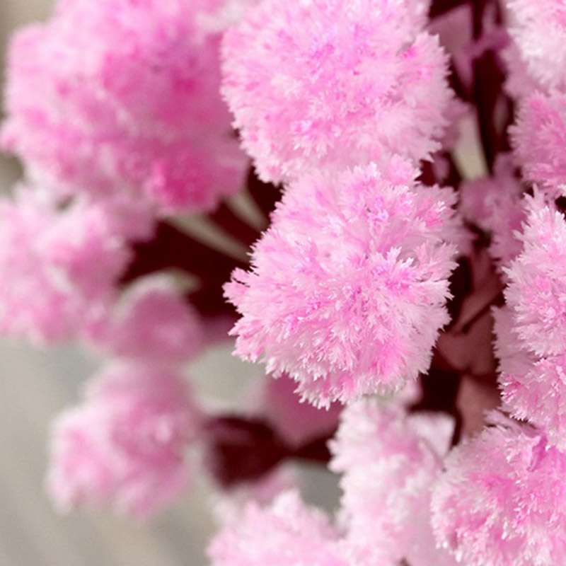 Growing Tree Paper Sakura Crystal Trees Desk Cherry Blossom Toys Xobw. 