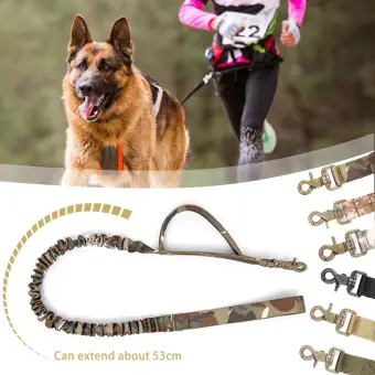 german shepherd dog leash